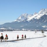 119 Bergerhof Winter