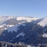124 Bergerhof Winter