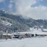 84 Bergerhof Winter